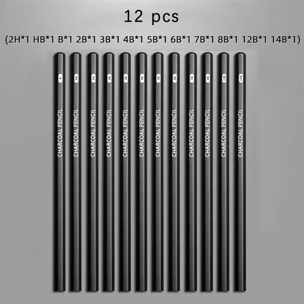 Sketching Charcoal Set - 12 piezas de lápices de dibujo