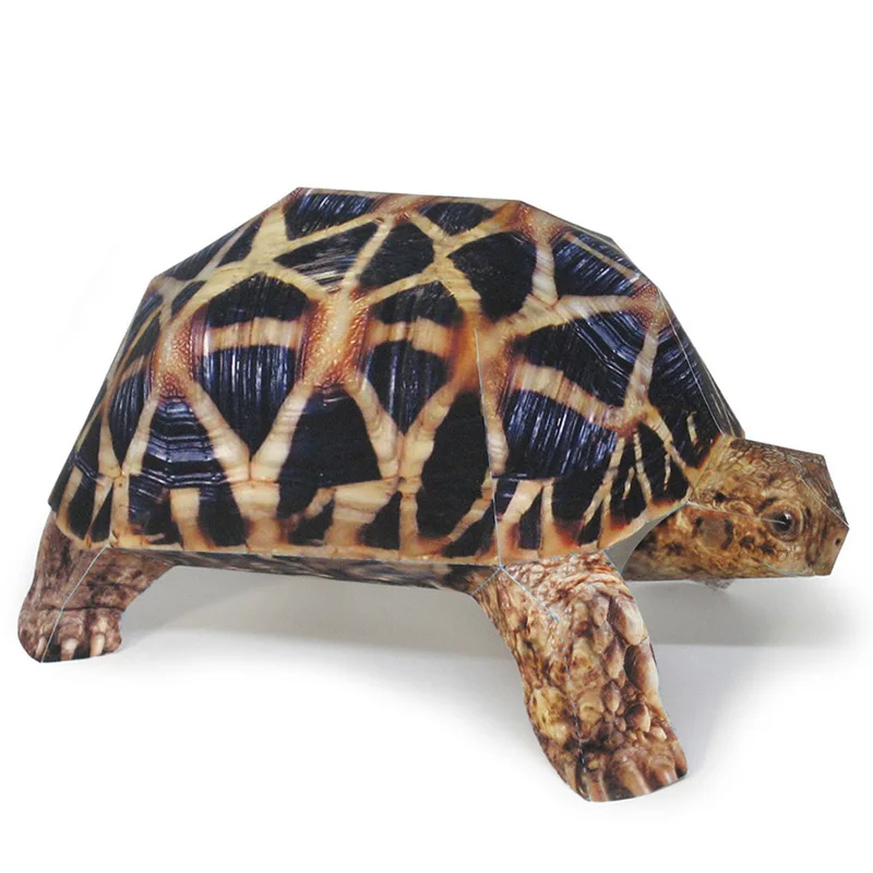 Art Craft Cardboard - Estrella india tortuga modelo de papel