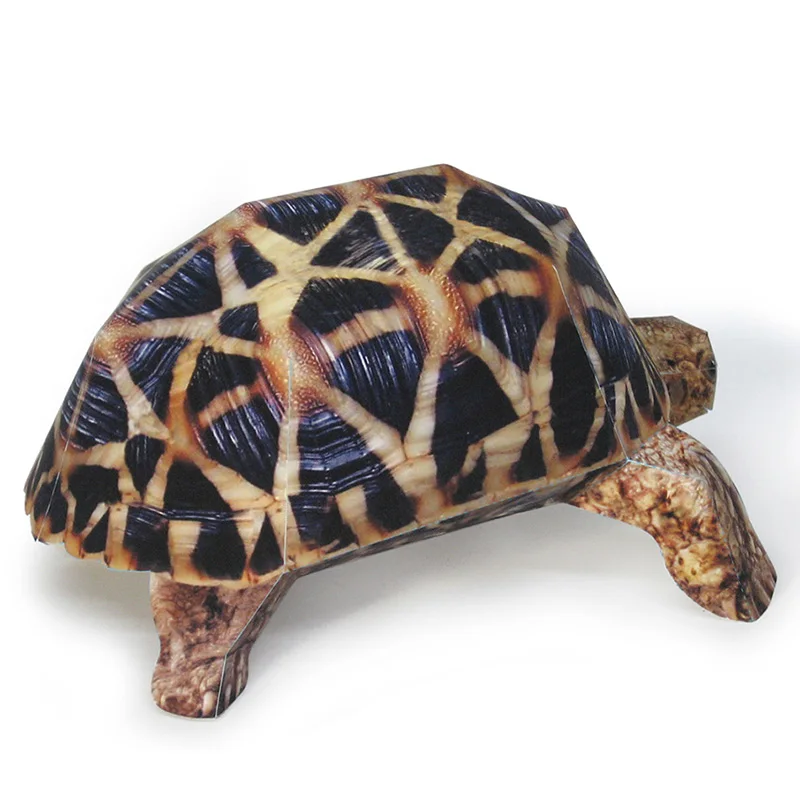 Estrella india tortuga modelo  - Art Craft Cardboard reseña y precio