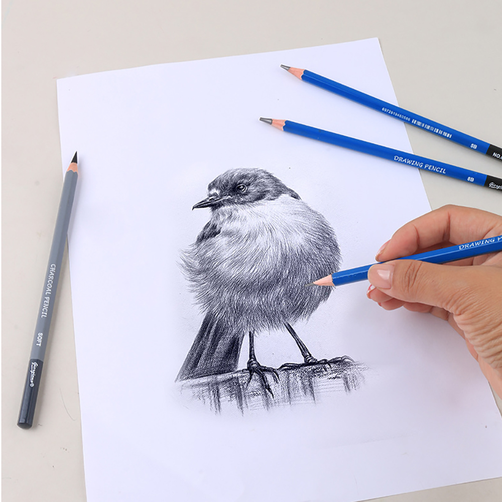Juego de 17 lápices de dibujo, - Sketching Charcoal Set reseña y precio